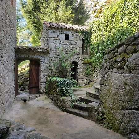Gite Pommier Au Chateau Des Pauses Villa Saint-André-de-Majencoules Kültér fotó