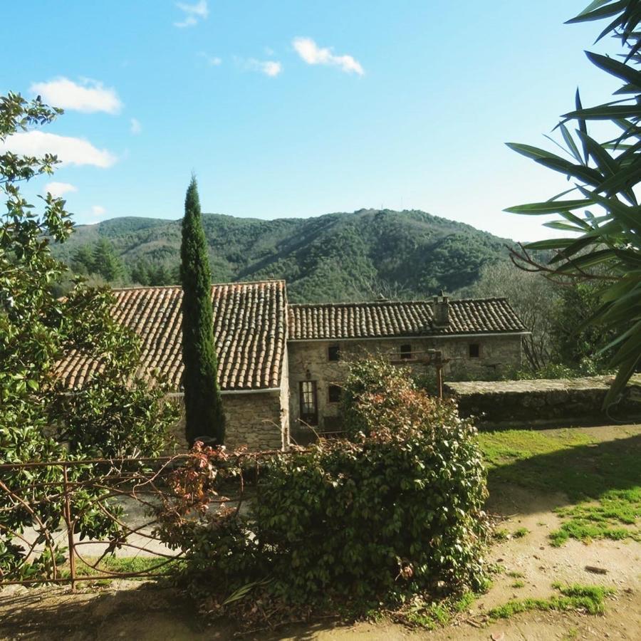 Gite Pommier Au Chateau Des Pauses Villa Saint-André-de-Majencoules Kültér fotó